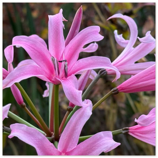 3723a748-79be-45d2-877e-2339fe608d14