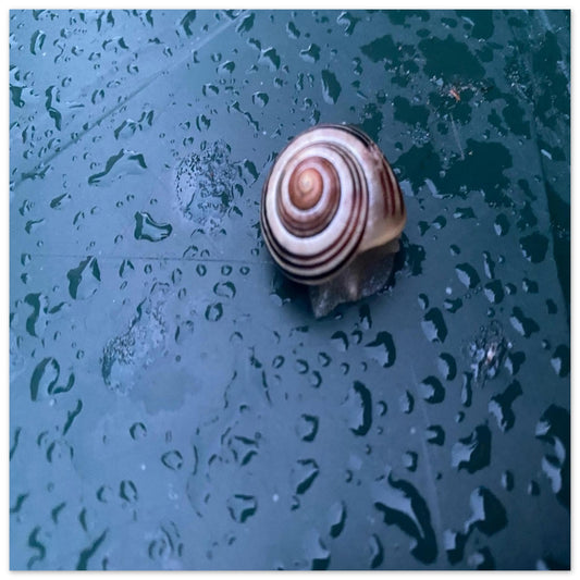 766efe74-6584-47ce-825f-4ff50aa29408