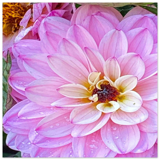 ba237220-9b6f-43c5-a39e-08cfa1f8c8dc