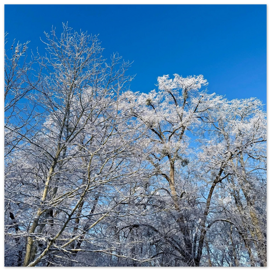 c04f2fca-0144-4ec8-bd93-65b4cc804655