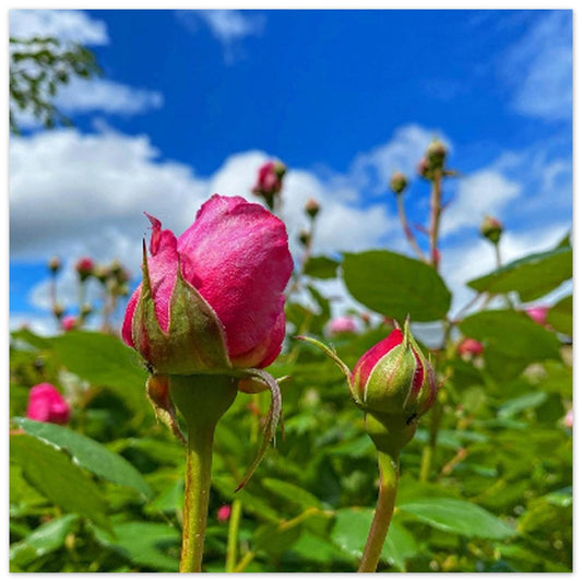 c0ab1bf3-51ee-4fdc-9c67-5783f591f8bb