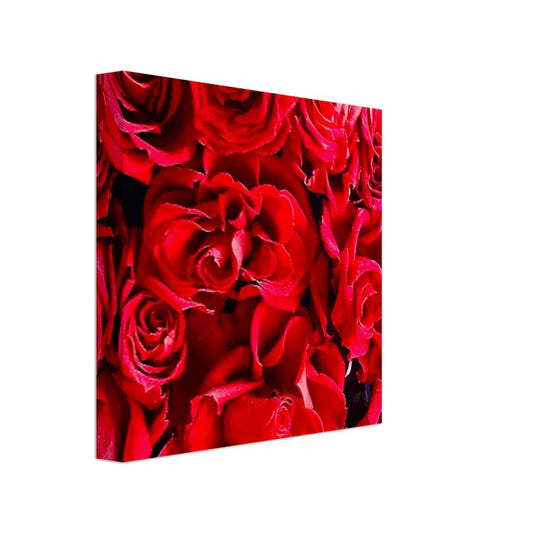 c1d8f19e-8f05-41b0-a6db-49db03cd7f34