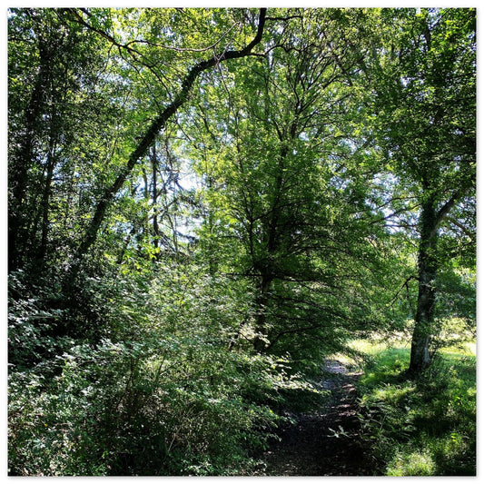 e1e3cf4a-53d5-437d-819b-41c6da1978b6