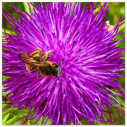 f876924c-29af-43e9-afbb-5a4c38595b28