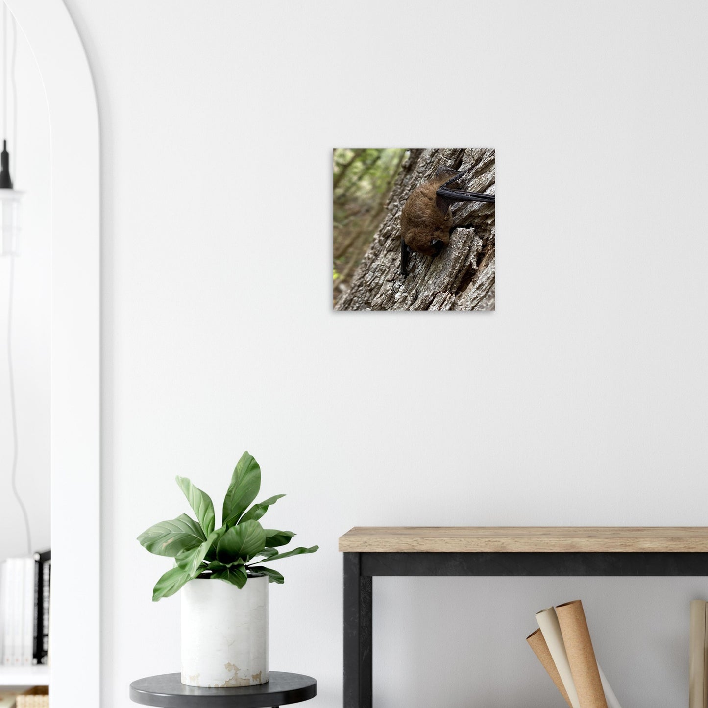 ff2ea978-4989-4af5-b67e-64a598d83920