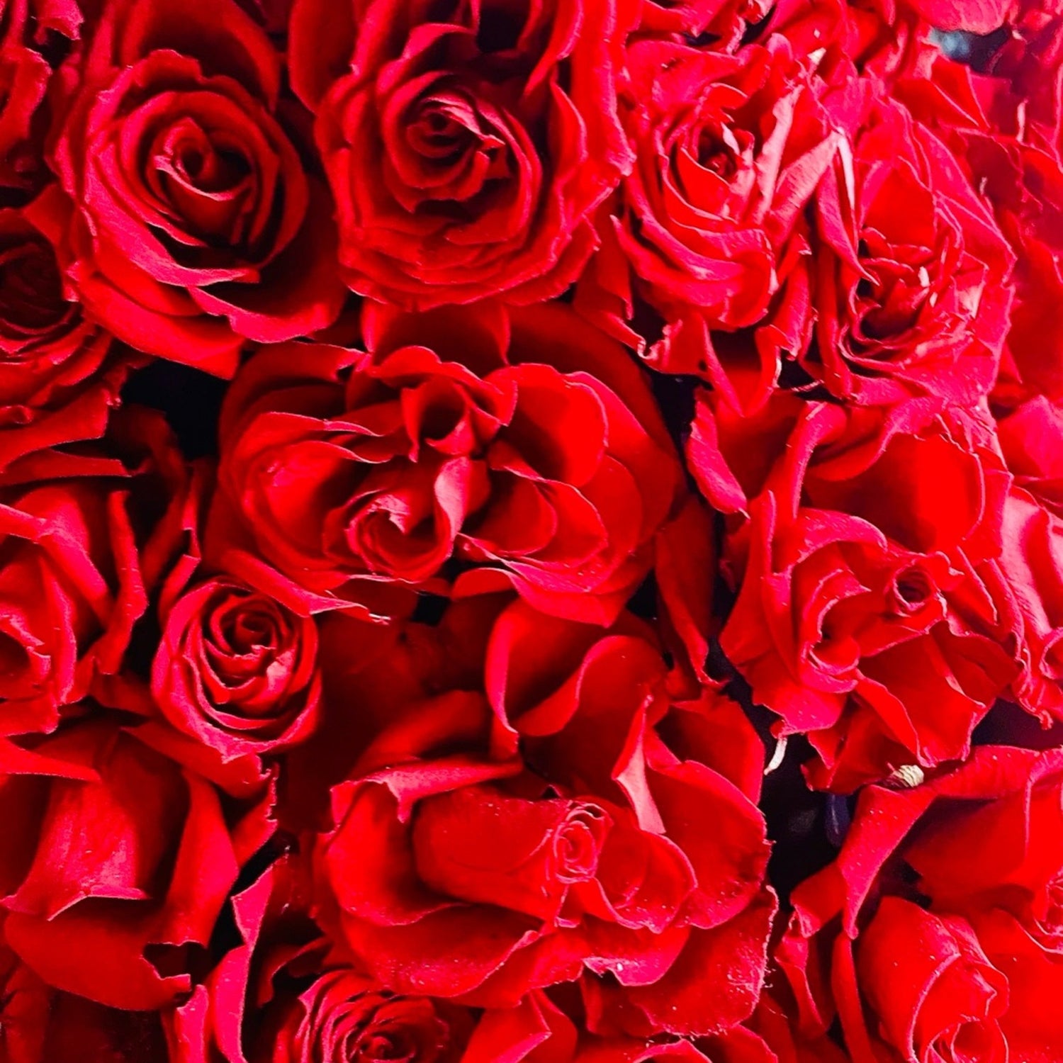 Quand la nature devient tendresse