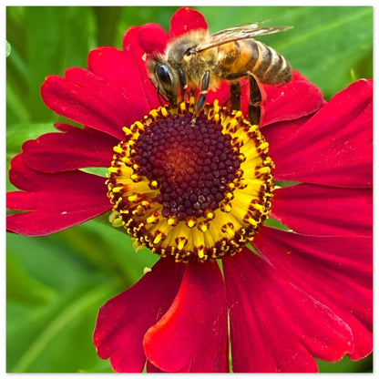 0449addb-50f4-429e-b327-4e86b48bcdee