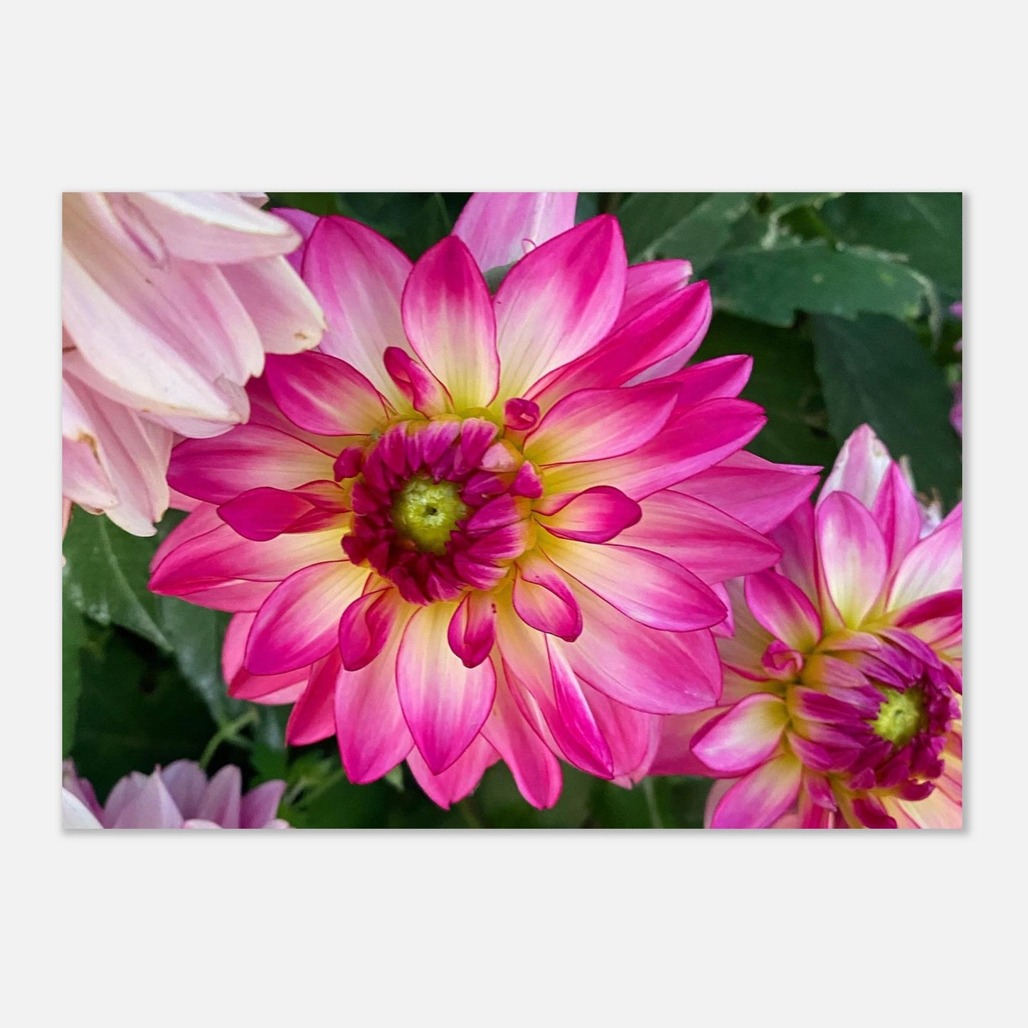 096a48ef-e315-4e84-a614-5551e40cb0aa