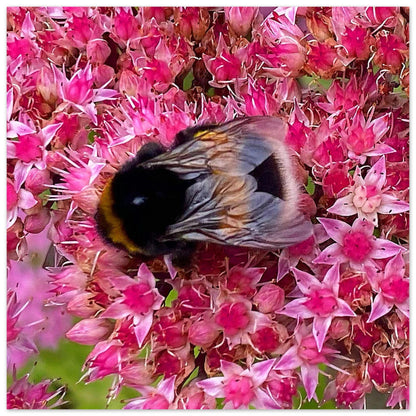 0a60e0cc-1301-4e84-84b0-9dda4661961b