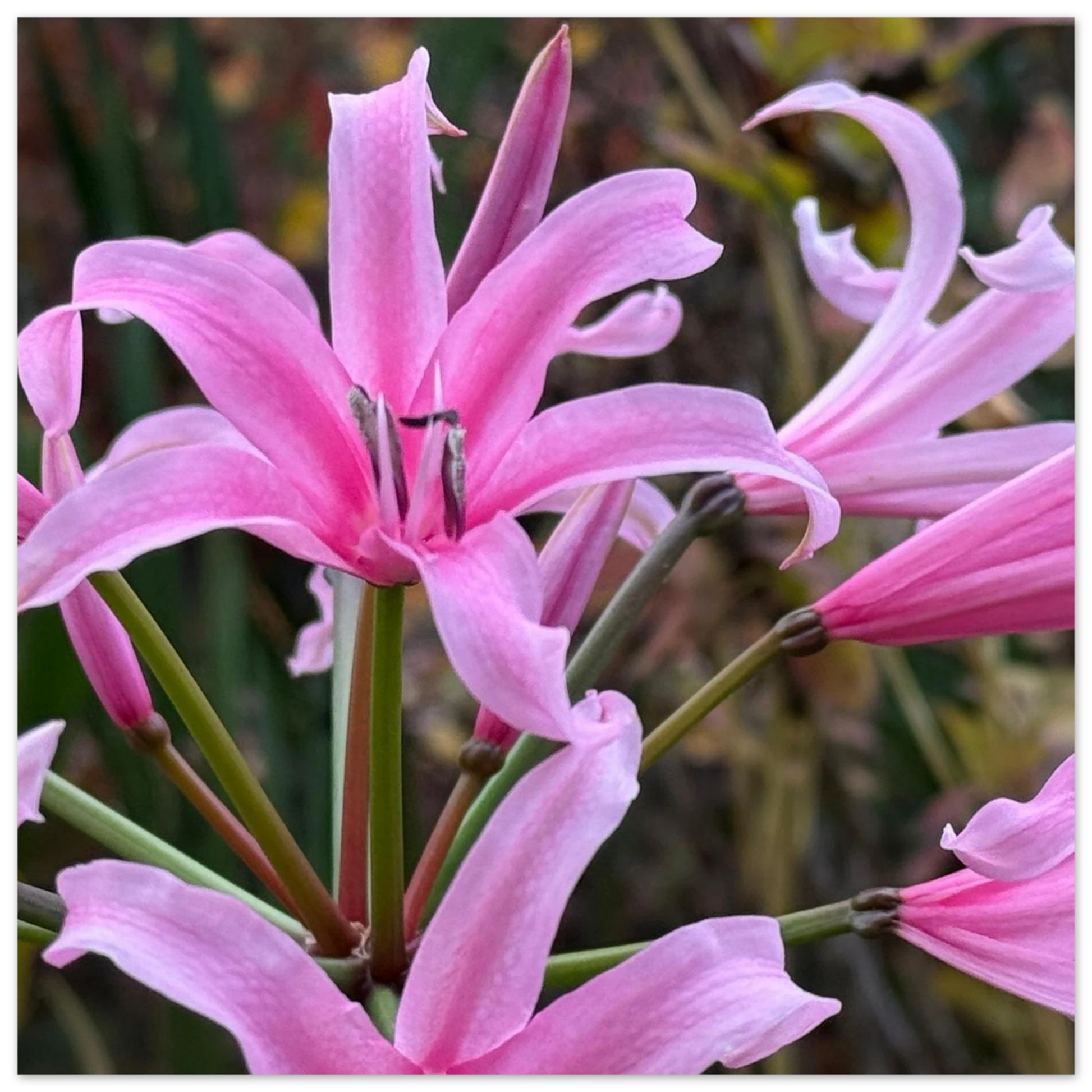 0b20197b-1bdb-4da6-add7-11c92fda97e2