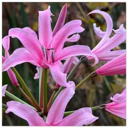 0b20197b-1bdb-4da6-add7-11c92fda97e2