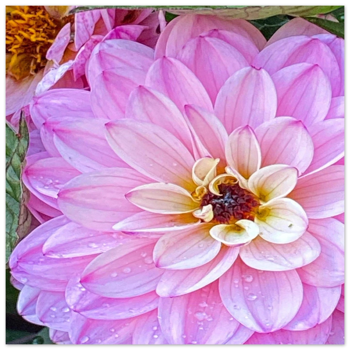 21fb085f-c017-4197-9466-d24d098af6fb