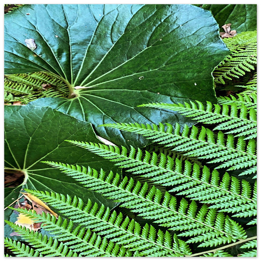 267499dd-b2c0-4238-97be-c6a2f204562e