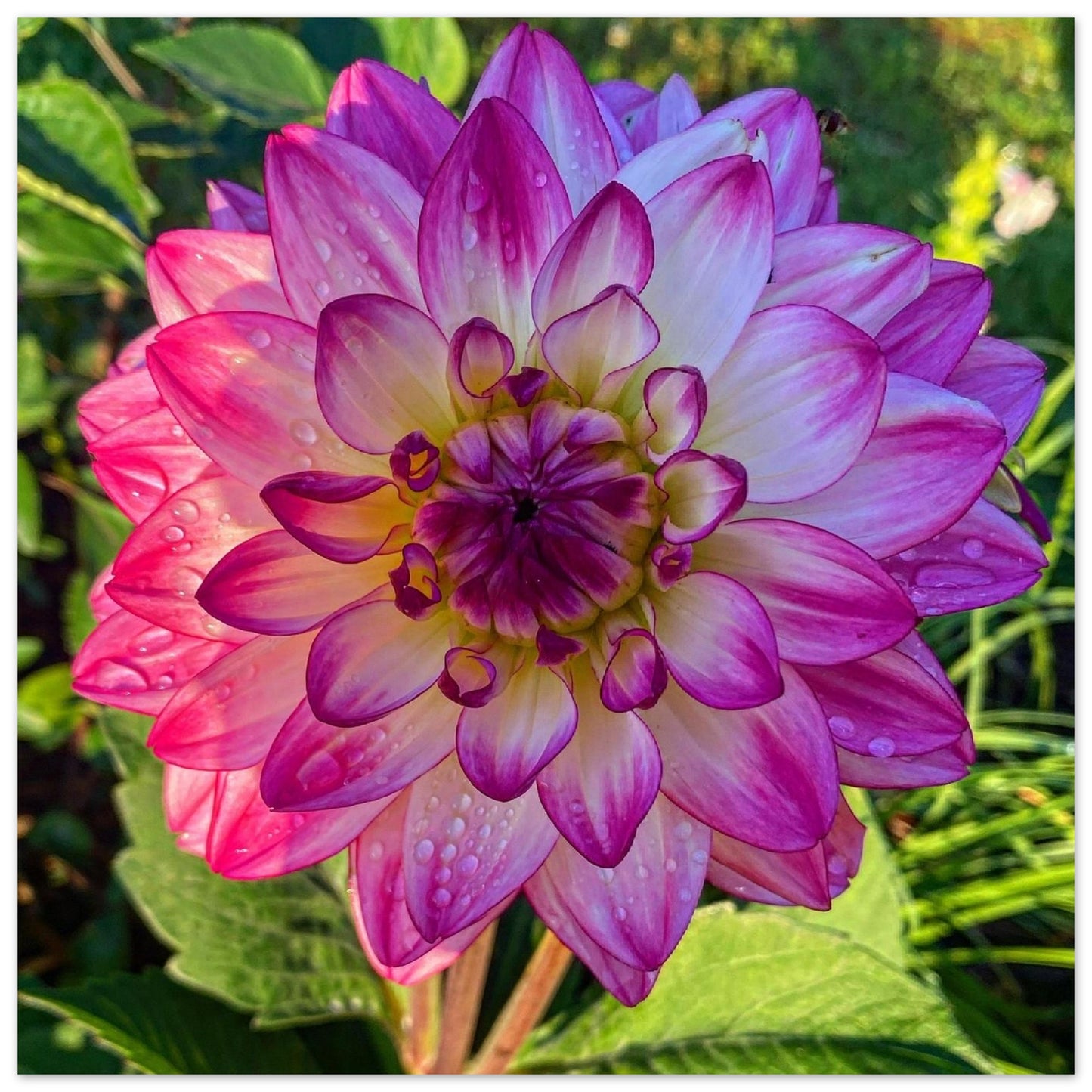 32a450b7-6dc5-4469-908d-d4249bb90667