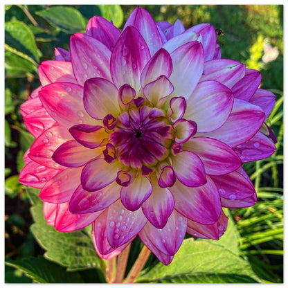 32a450b7-6dc5-4469-908d-d4249bb90667