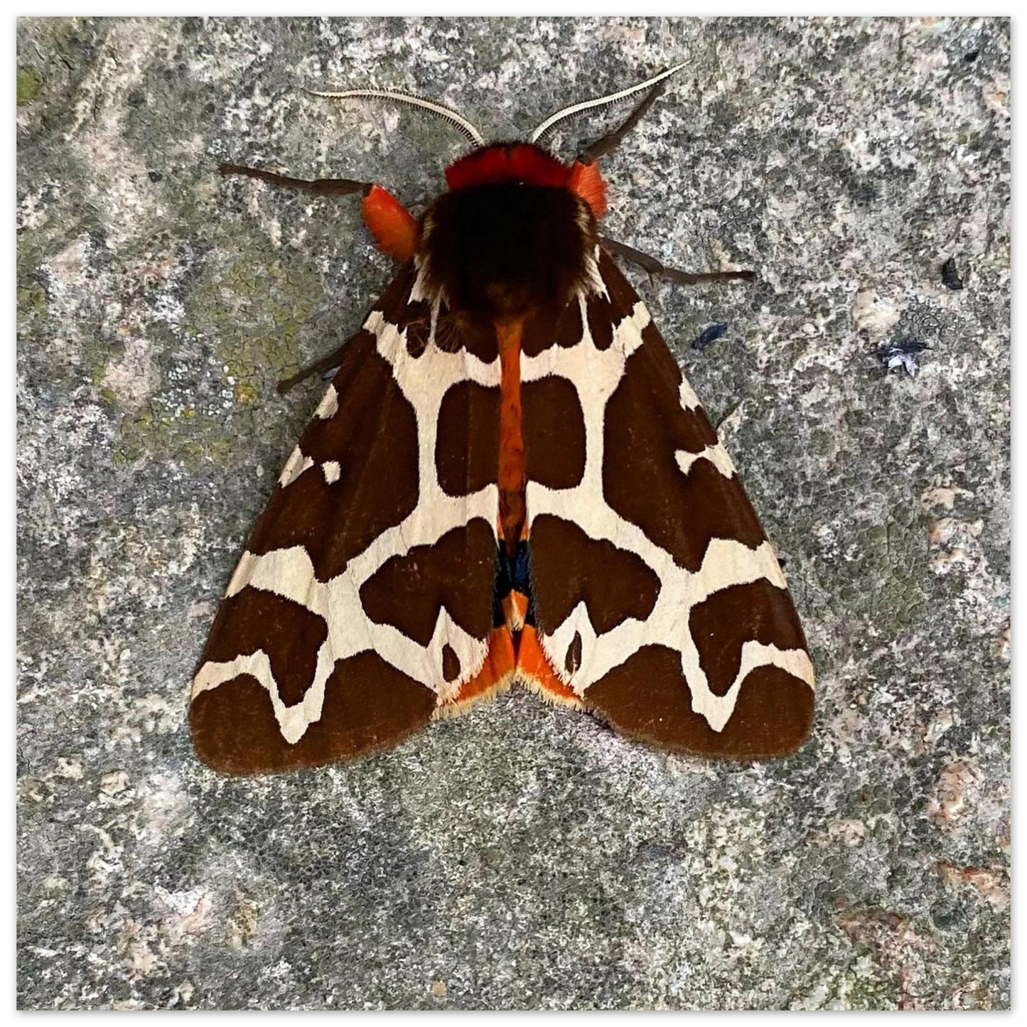 334174d5-d32e-489b-bad2-310fc4abf156