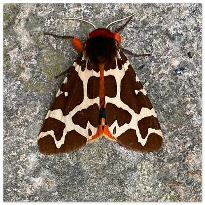 334174d5-d32e-489b-bad2-310fc4abf156