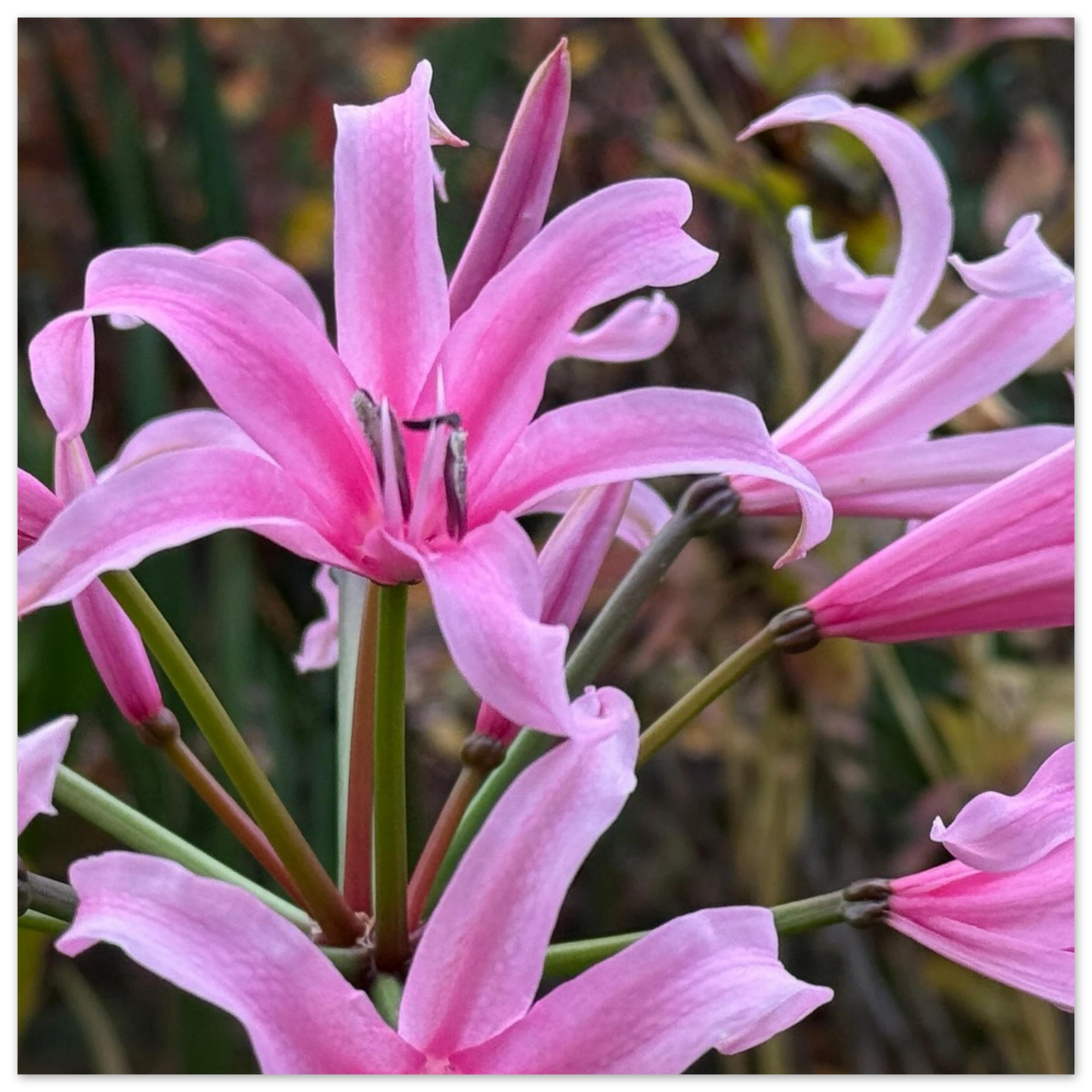 3723a748-79be-45d2-877e-2339fe608d14