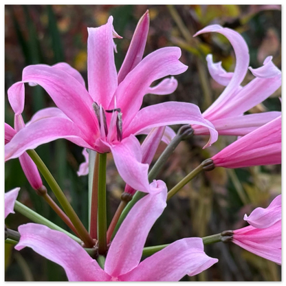 3723a748-79be-45d2-877e-2339fe608d14