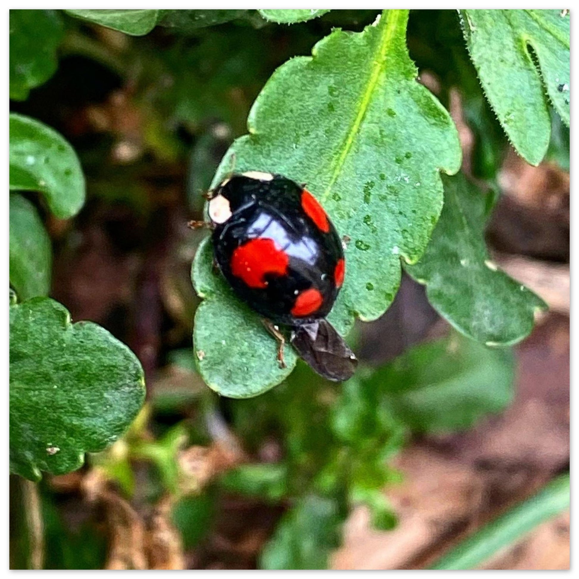 3e6ffa9e-575f-4668-b3ea-5784928669b7