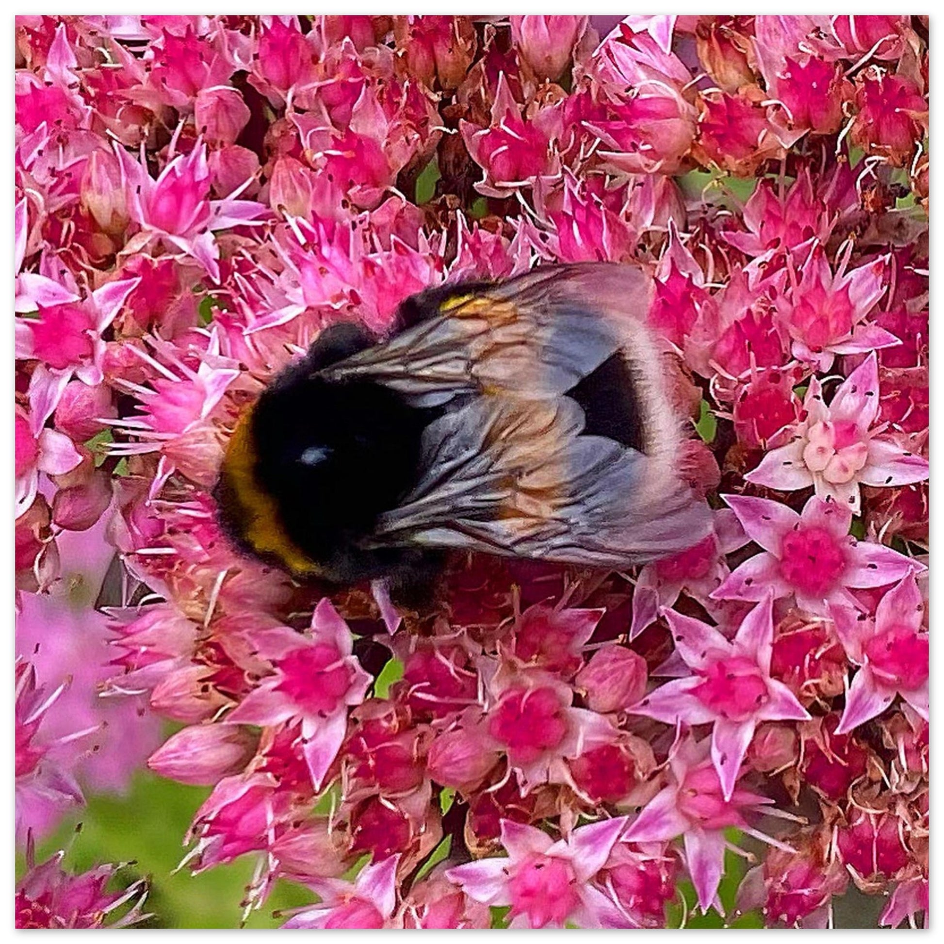 48fe3943-abf1-454d-9e1b-a6c41286d6a5