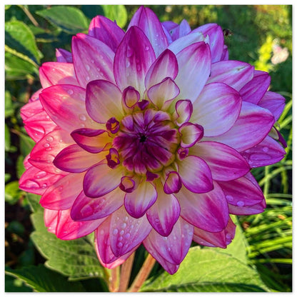 5d8ad7c3-c827-4451-b2bf-41e060d456db