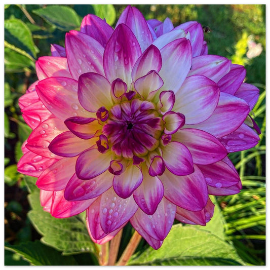 5d8ad7c3-c827-4451-b2bf-41e060d456db