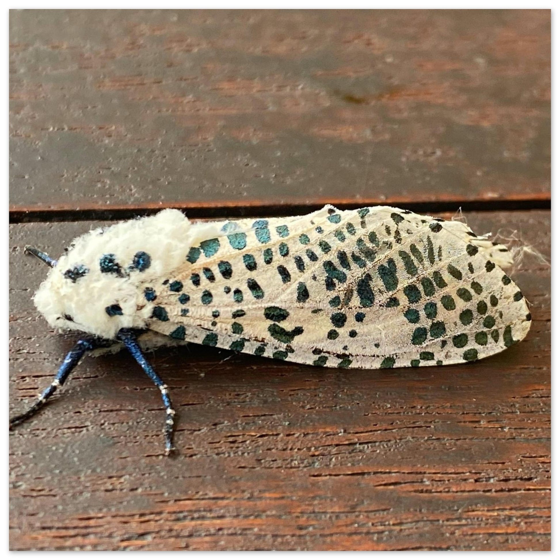 65298a13-6774-4b69-8719-fe42c08c47e3