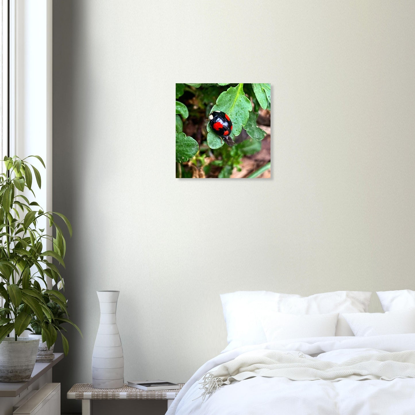 674a2efd-9b5b-485f-bf15-09ee95cb2422