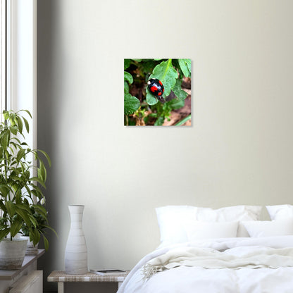 674a2efd-9b5b-485f-bf15-09ee95cb2422