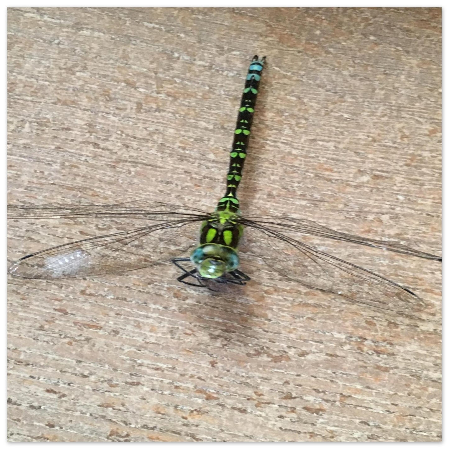 6fbf5dba-e564-4fcf-80ab-ac5af61e7b30