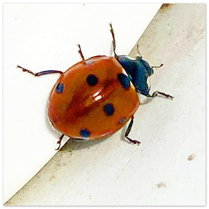 78850d90-f642-48fb-8232-f5674c6546c5