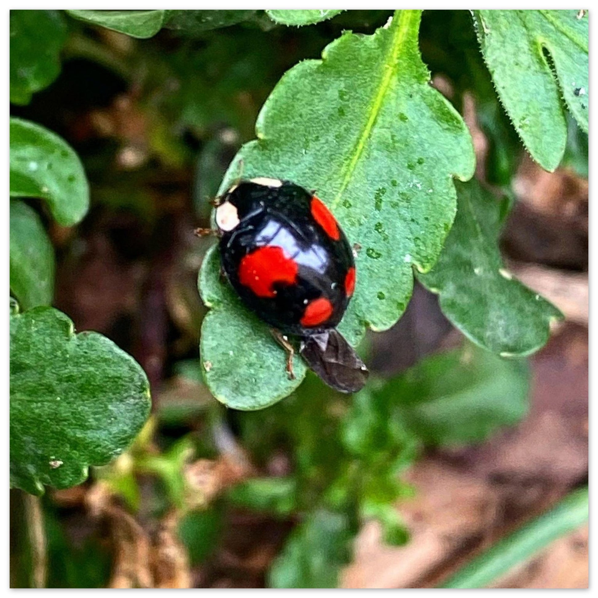 7a12ab39-20d8-456a-9930-61308486522a