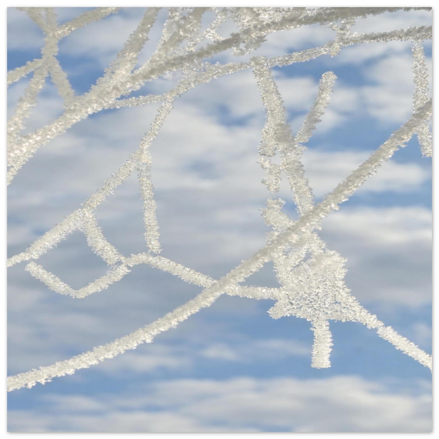 80108311-bfb0-47cb-afe9-9a7dd5a5a407