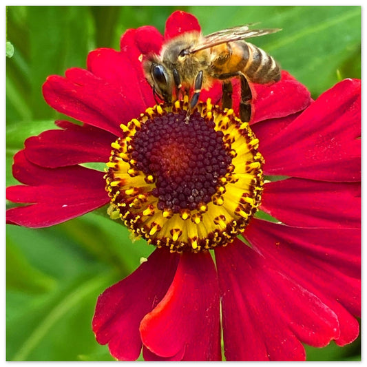 89229a97-7afc-4dd1-9ddd-9cbac26e3422