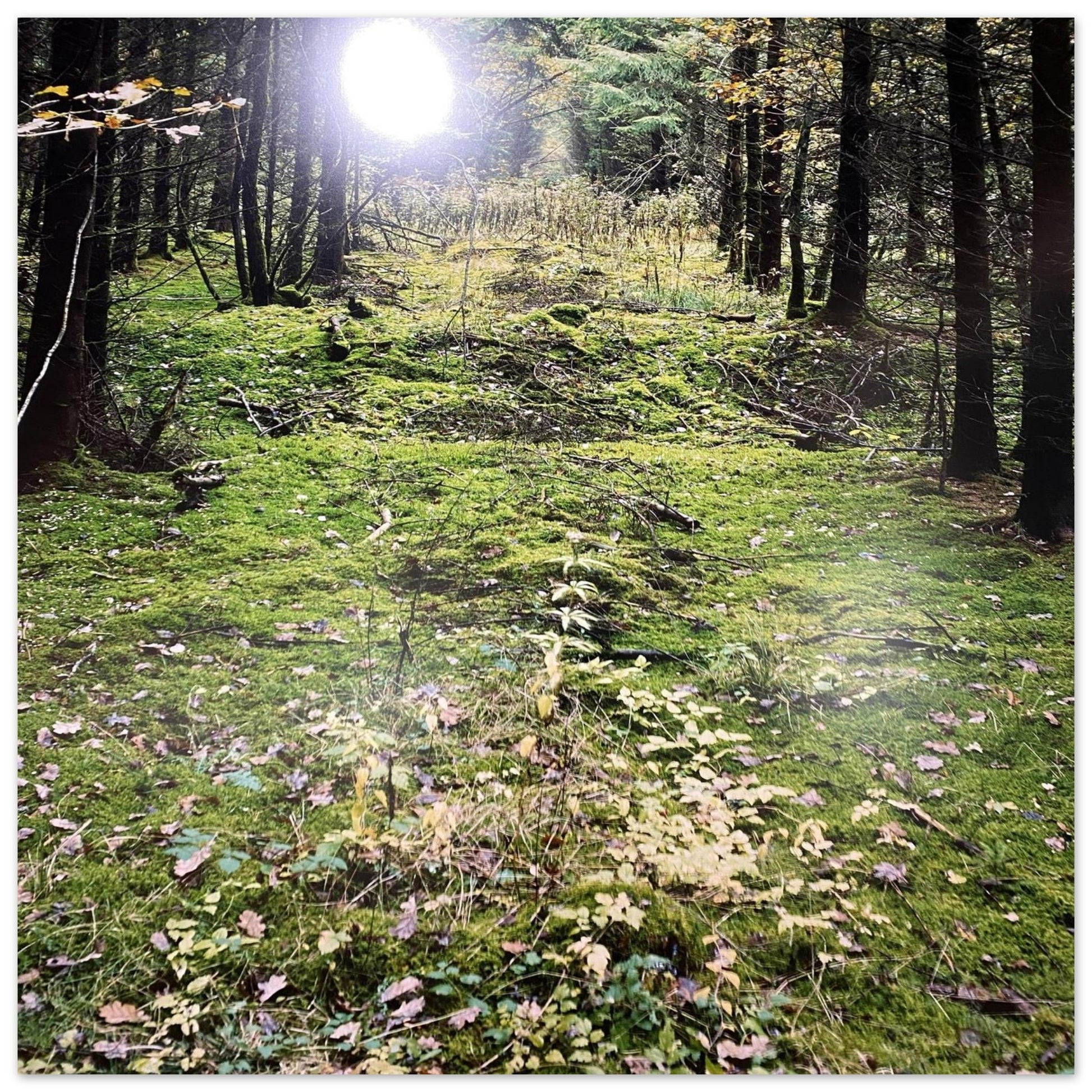 9c37061d-b277-4c07-8c2b-15fbdd7d98e0