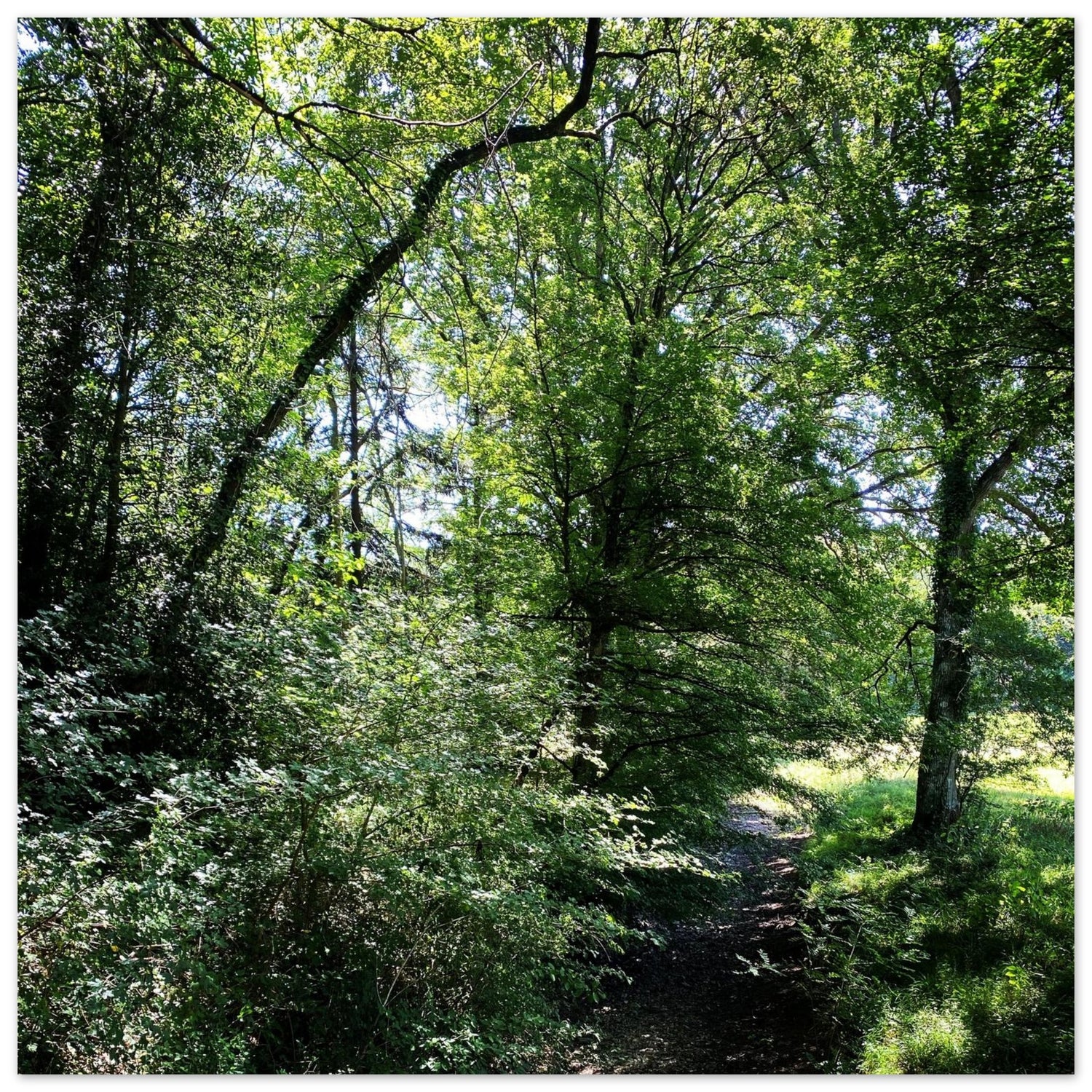 a0594253-025d-4507-8052-95b2f0969d74