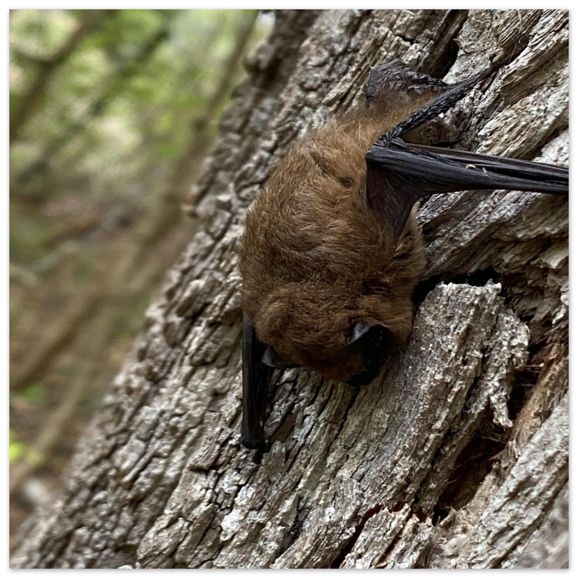 a79f2773-b2a8-4480-a5cc-1f1f4e48a583