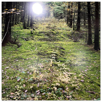 a93b12e8-bd10-4068-813a-31b4f77434b1