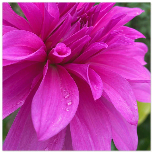 a94b8722-300b-450e-bd83-03a5d6698451