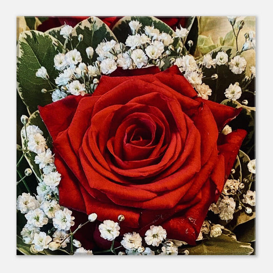 b51e4f72-ac2e-4eee-97c1-b89273b769c0