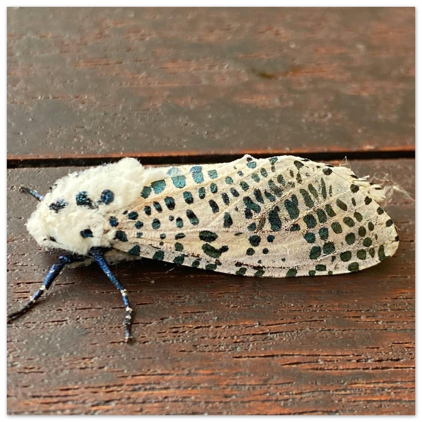 b93fa689-5371-4231-b0fe-2ba60361a4bc