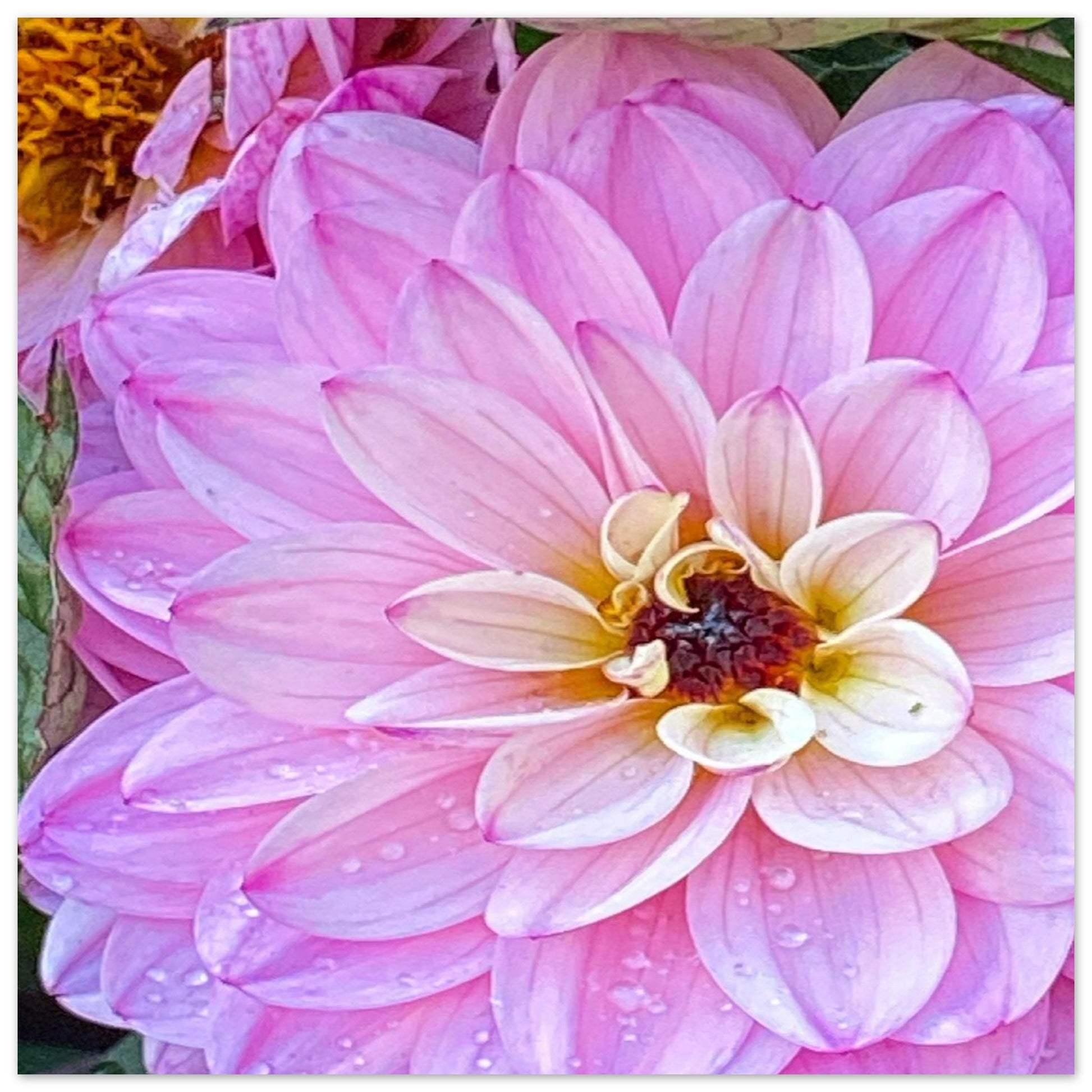 ba237220-9b6f-43c5-a39e-08cfa1f8c8dc