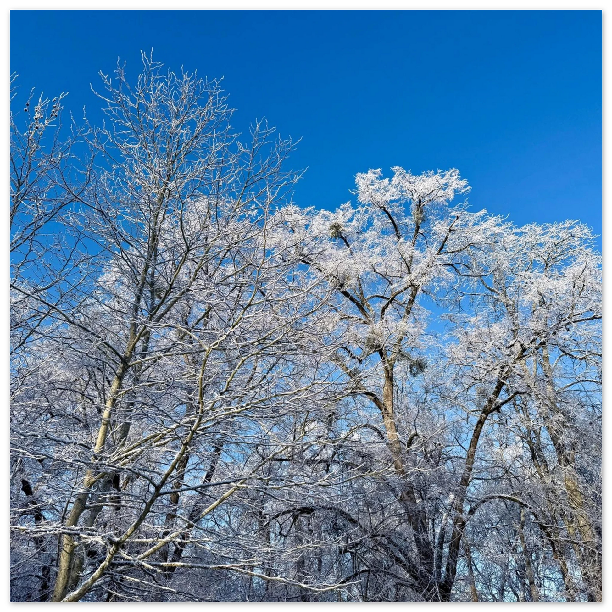 c04f2fca-0144-4ec8-bd93-65b4cc804655