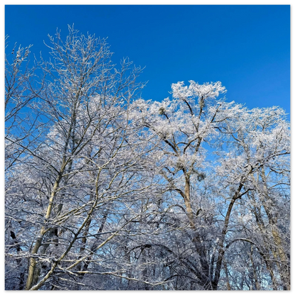 c04f2fca-0144-4ec8-bd93-65b4cc804655