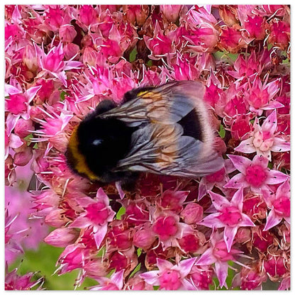 c678552b-3d20-40ae-a0a6-d6e511f16126