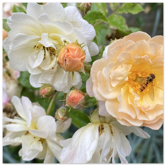 c67a674f-c923-4e6a-aa18-33f4caddea3e