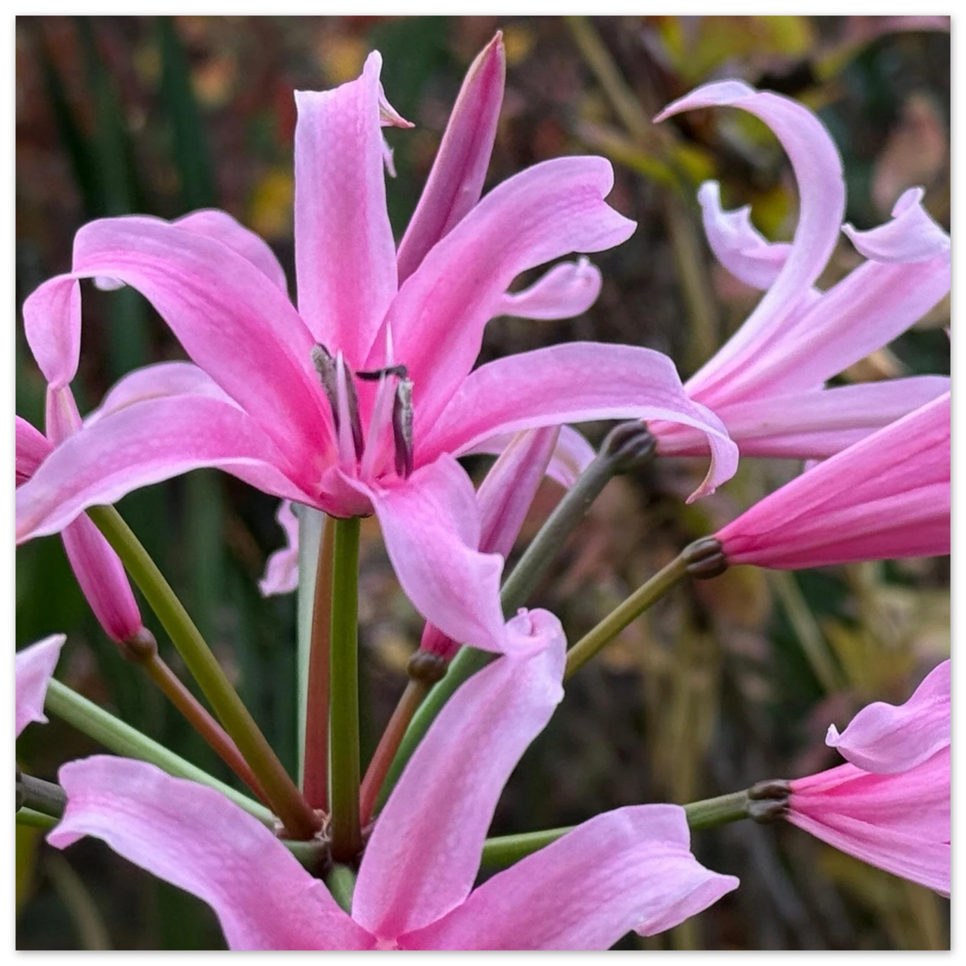 c893babe-ed5f-400f-b78d-8f8e2cfe6144