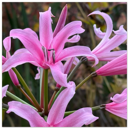 c893babe-ed5f-400f-b78d-8f8e2cfe6144