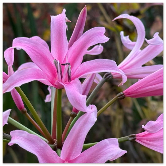 c893babe-ed5f-400f-b78d-8f8e2cfe6144